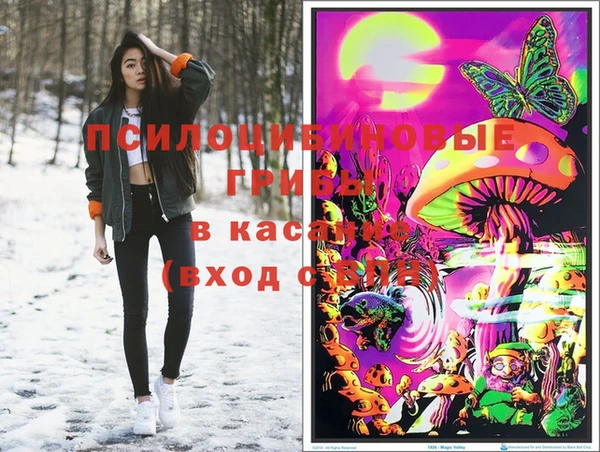 круглые Алексин
